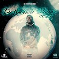 Da World Wide Struggle (Explicit)