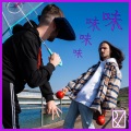 Razvan - Flavour