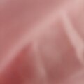 我爱你你却爱着他