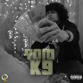 Elwy、YoLO - K9 (Explicit)