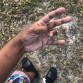 Kaydo - WalkDown (Explicit)