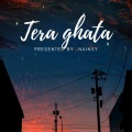 Nainsy - Tera ghata lofi