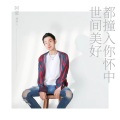 世间美好都撞入你怀中