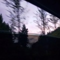 甜呆橘 - 不归女孩
