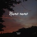 Nainsy - Namo Namo lofi