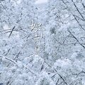 姚北言（姚博闻） - 如你所想