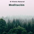 Reiki、Música De Relajación Para Dormir Profundamente、Reiki Consorte de Curación - Bosque Lejano