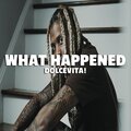 Dolce Vita - What Happened