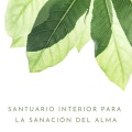 Reiki、Reiki y Tai Chi Armonía、Descansa - Bienestar