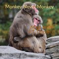 MATT SMITH、Daniel C. - Monkey Never Monkey (feat. Daniel C.)