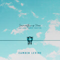 Camden Levine、Luke James Shaffer - Something New