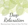 Relax α Wave - Life Can Improve