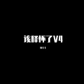 该释怀了V4