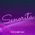 Yk icy、Bxby Tally - Senorita (Explicit)