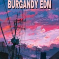 Hogland、BURGANDY EDM、Bingo Players - Different.
