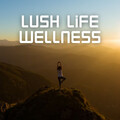 Relaxing Spa Music、Relaxing Music、Message Therapy Music - Dreamy Creation