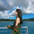 鱼鱼音乐 - 芳华慢