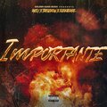 Rycci、Tresckow、Elekaerre - IMPORTANTE (feat. Tresckow & Elekaerre)(Explicit)