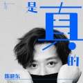 陈晓东 - 是真的