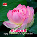 Shankar - Konegaanade Kasthuri