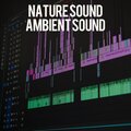 Ambient Sound