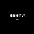 该释怀了V5