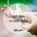 Forest FX、Lightning, Thunder and Rain Storm、Let It Rain - Relaxation: Soft Rain to Calm Babies - 3 Hours