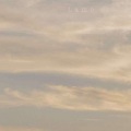 鸟机枪 - 热点