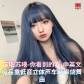 DJ国飞 - DJ国飞-苏喂苏喂-你看到的我-中英文极品重低音立体声车载串烧舞曲 (DJ国飞 remix版)