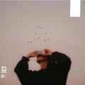 禹七 - 春的颜色不走进秋季