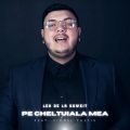 Leo De La Kuweit、Viorel Pustiu - Pe cheltuiala mea