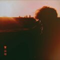 Frodo - Nashle