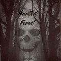 Stardust - Haunted Forest