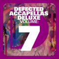 DJ Gregory、Gregor Salto - Con Alegria [Accapella] (Album)