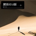 范飞飞、婷小怡 - 黑街