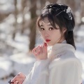 半壶纱