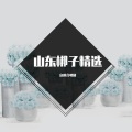 京迷合唱团 - 李新花-鼓打五更天 (山东梆子)