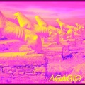 Takis Taf - AGAGIO