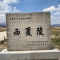 百家湖男孩 - 定西