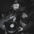 timbo - purple