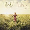 Mindfulness Meditation Universe - Stress Reduction