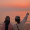 豆浆 - 花海
