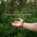 Oasis des Bruits Naturels - Sons de pluie: Bruit calme pour dormir