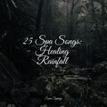 25 Spa Songs: Healing Rainfall