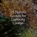 Ambient Forest、Sleepy Times、Deep Sleep Meditation - River Birds