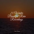 25 Winter Beautiful Rain Recordings
