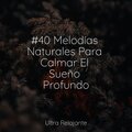 Jazz Para Crianças、Musica Relaxante、Academia de Relaxamento e Meditação - Converlajaciones