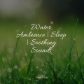 Water Ambience | Sleep | Soothing Sounds