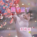 墨晴鸢 - 爱丫爱丫