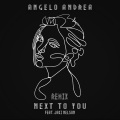 Angelo Andrea、Jaki Nelson - Next to You (Remix)